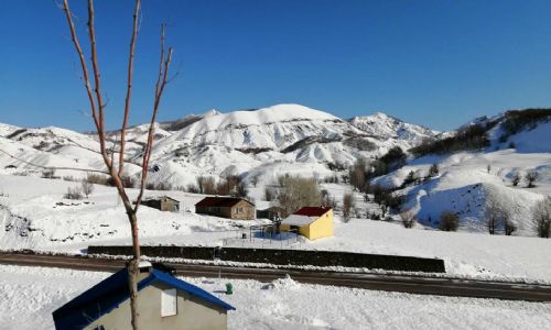 foto kış reşimler