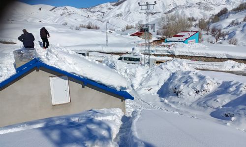 foto kış reşimler