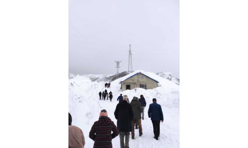 foto kış reşimler