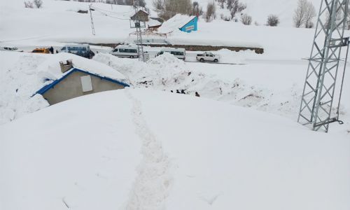 foto kış reşimler