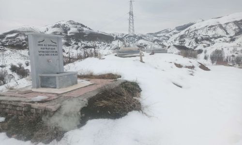 foto kış reşimler