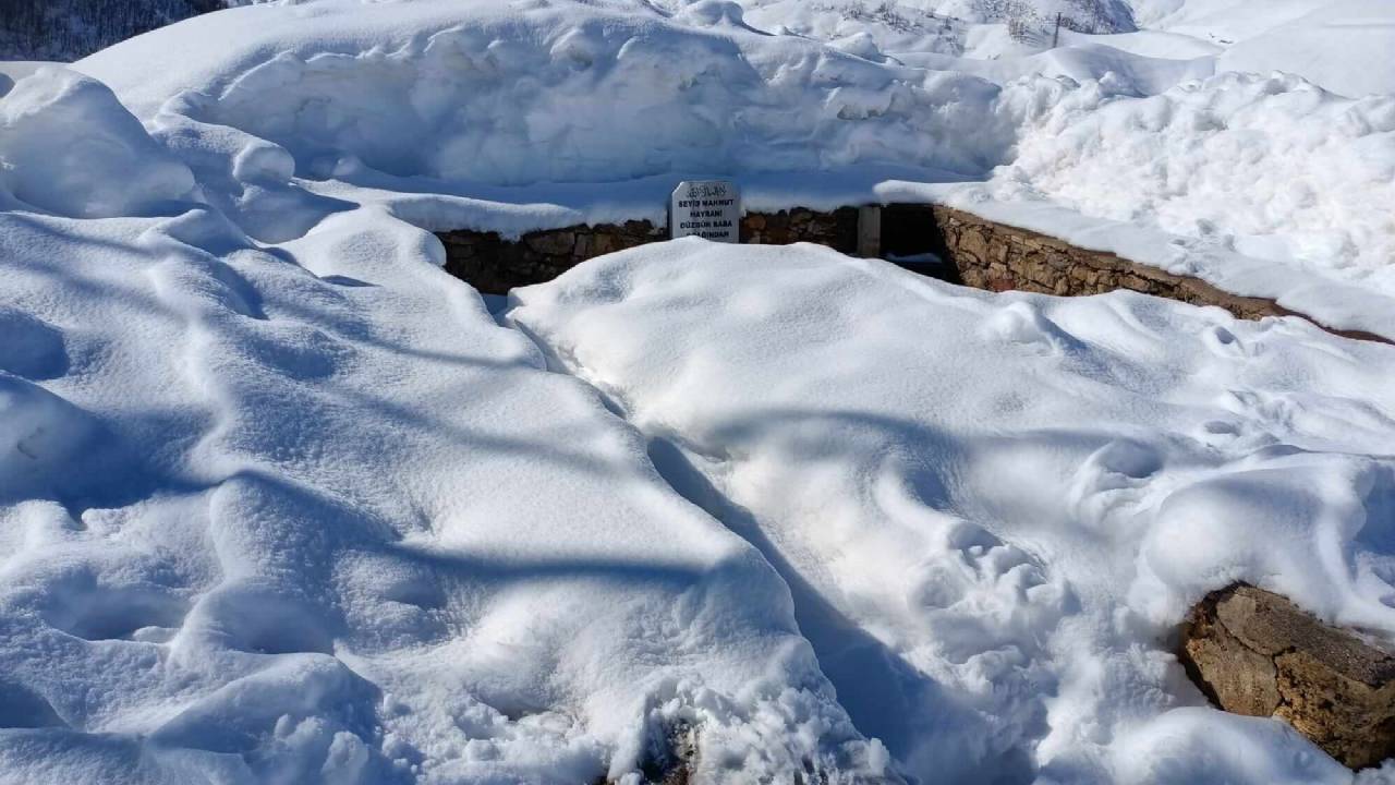 Elgazi de Kış&nbsp;