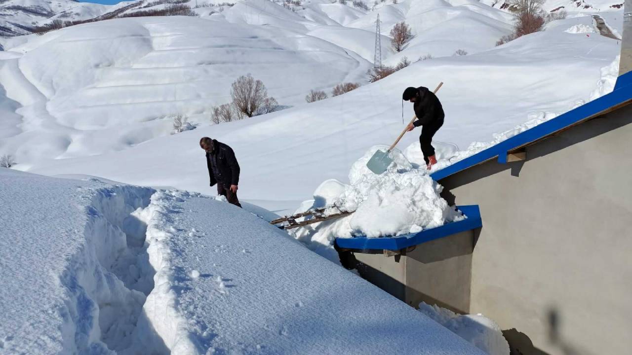 Elgazi de Kış&nbsp;