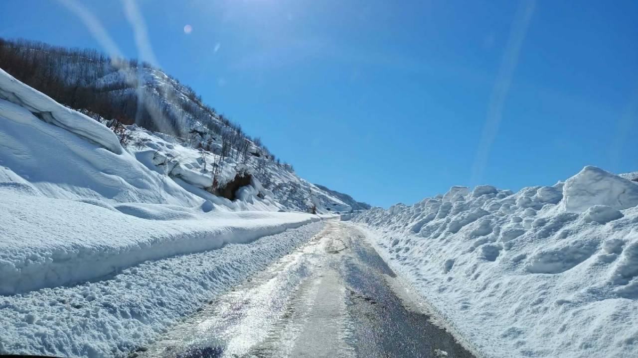 Elgazi de Kış&nbsp;