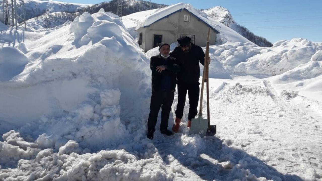 Elgazi de Kış&nbsp;