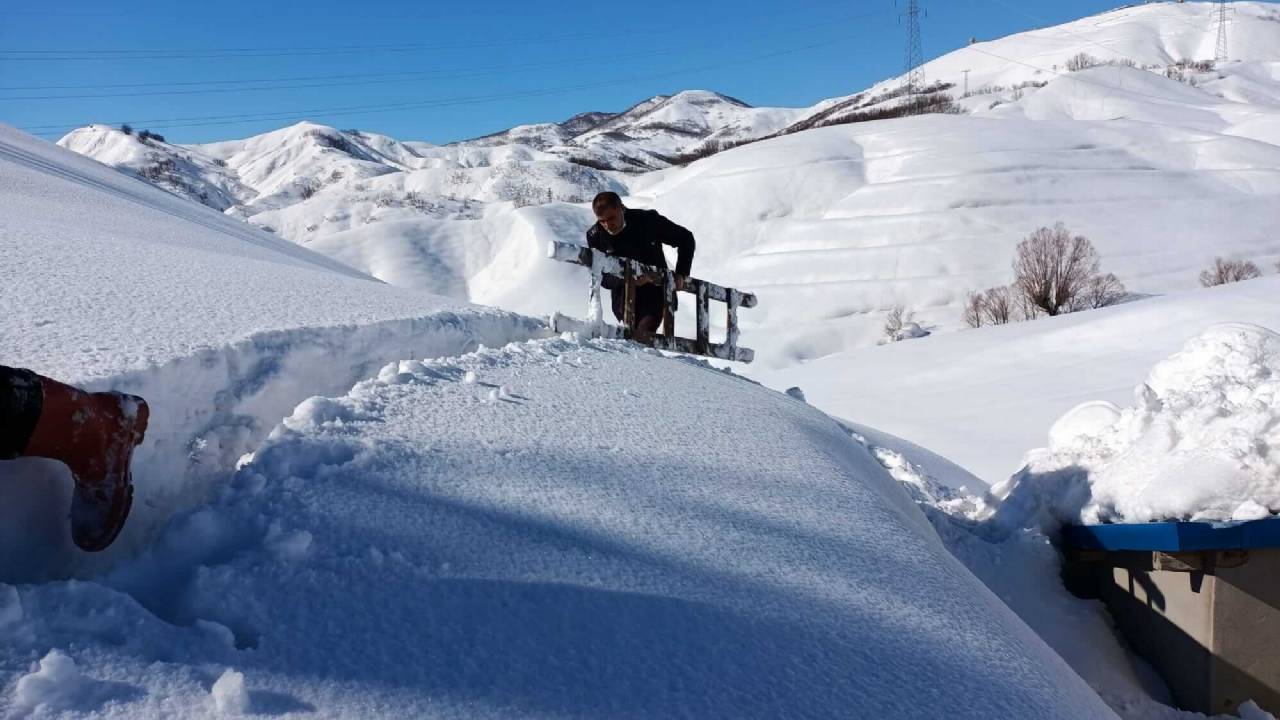 Elgazi de Kış&nbsp;