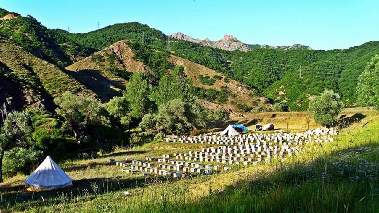 Elgazi Köyü - 1&nbsp;