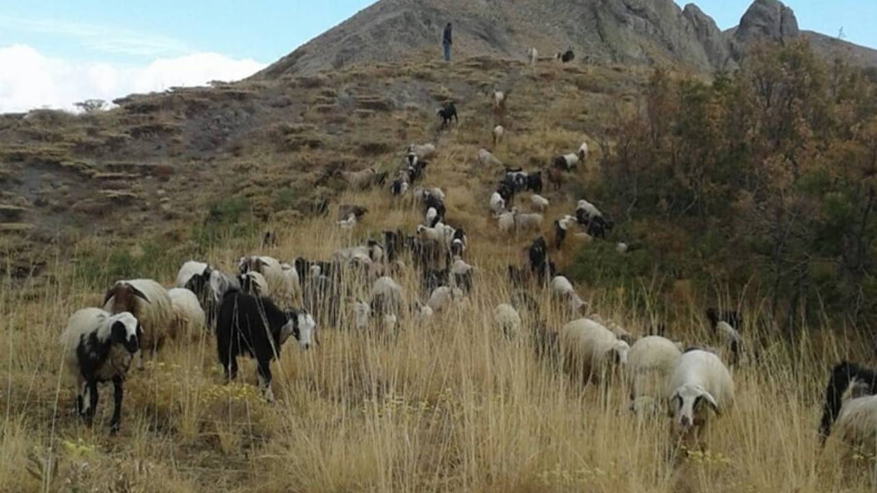 Elgazi Köyü - 1&nbsp;