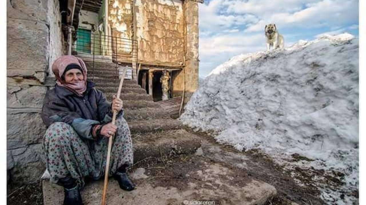 Elgazi Köyü - 1&nbsp;