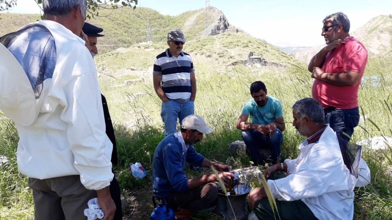 Elgazi Köyü - 2&nbsp;