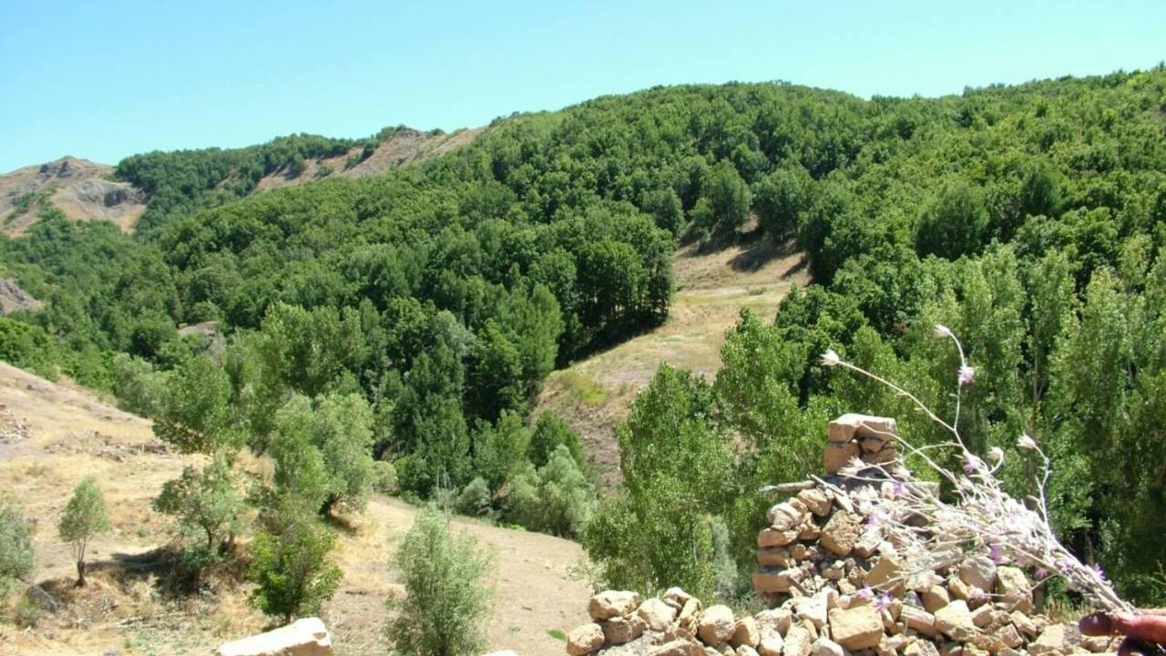 Elgazi Köyü - 1&nbsp;