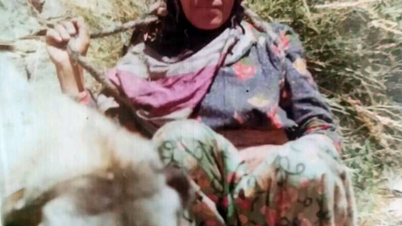 Elgazi Köyü - 2&nbsp;