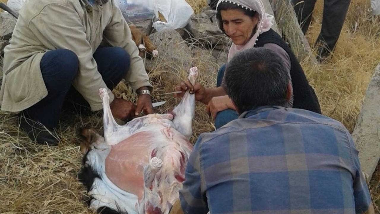 Elgazi Köyü - 3&nbsp;