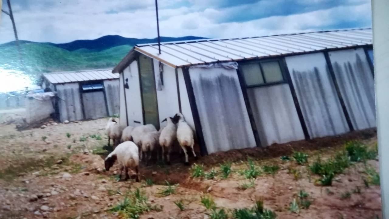 Elgazi Köyü - 3&nbsp;