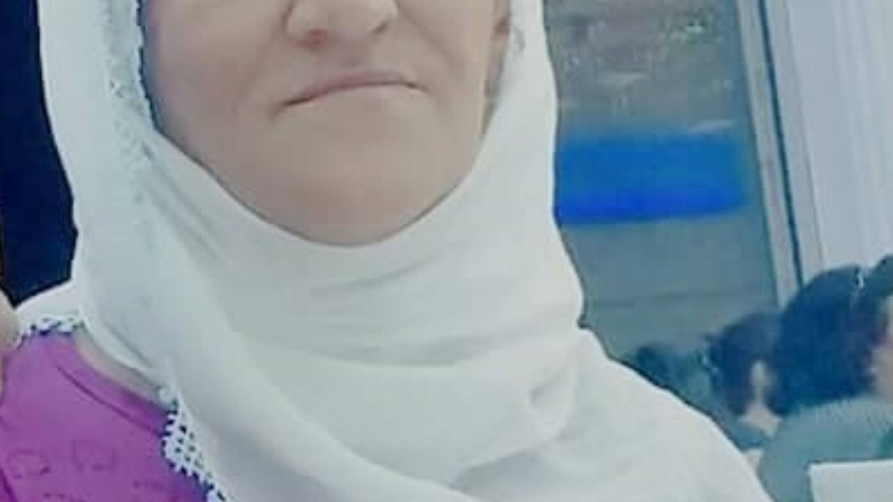 Elgazi Köyü ve Balikan Mezrası&nbsp;