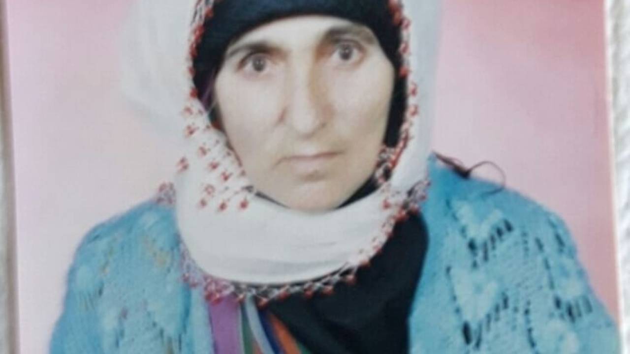 Elgazi Köyü ve Balikan Mezrası&nbsp;